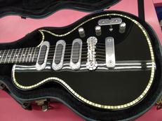 ZEMATIS/C22SU 3S BLACKPEARL|ZEMATIS