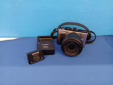 DMC-GX1|PANASONIC