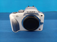 DMC-G3W|PANASONIC