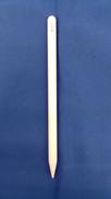 APPLE PENCIL 第2世代|APPLE