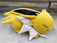 ぬいぐるみ|POKEMON CENTER