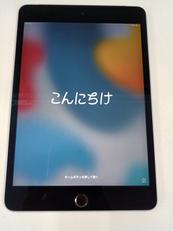 iPad mini|APPLE/SB