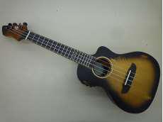 コンサート・ウクレレ|ORTEGA