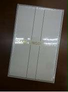 RANDY RHOADS SPECIAL EDITION|MXR