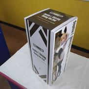 フィギュア|フリーイング