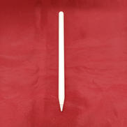 APPLE PENCIL PRO|APPLE
