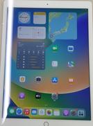 IPAD PRO12.9インチ/256GB|APPLE