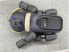 imgMap['COMMENT']}
