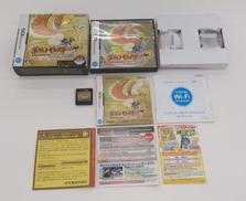 DSソフト|NINTENDO