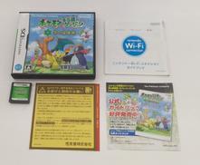 DSソフト|NINTENDO