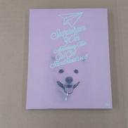 BDディスク|ユニバーサルミュージック