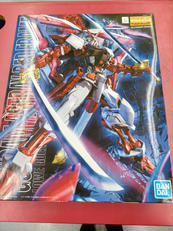 機動戦士ガンダム　SEED VS ASTRAY|BANDAI