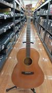 アコースティックギター|IBANEZ