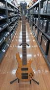 5弦ベース|SPECTOR
