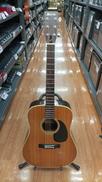 アコースティックギター|MORRIS