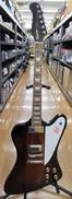 エレキギター|EPIPHONE