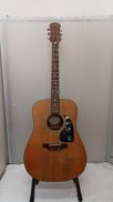 アコースティックギター|EPIPHONE