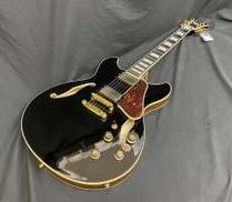 【新品未使用】セミアコ|IBANEZ