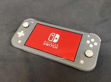 【持ち運び便利な携帯専用機】SWITCH LITE