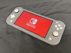 【持ち運び便利な携帯専用機】SWITCH LITE|NINTENDO
