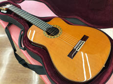 エレガット|ESTEVE