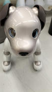 AIBO|SONY