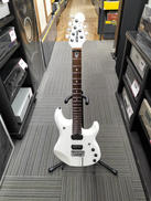 エレキギター|MUSICMAN