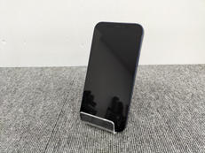 SIMフリー IPHONE12|APPLE