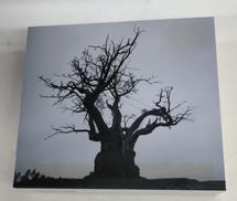 CDソフト|トイズファクトリー