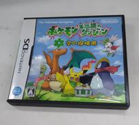 DSソフト|NINTENDO