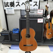 クラシックギター|RICORDI