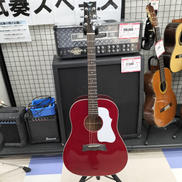 アコースティックギター|MORRIS