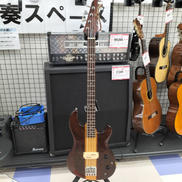 エレキベース|ARIA PROII