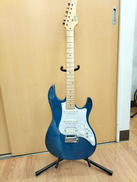 エレキギター|FUJIGEN