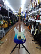 エレキギター|FENDER