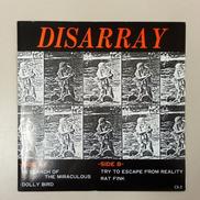 DISARRAY/DISARRAY|CHICKEN SHIT RECORDS