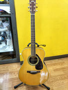 アコースティックギター|YAMAHA