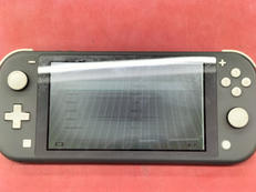 SWITCH LITE|NINTENDO