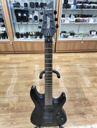 Schecter/DIAMOND DAMIEN FR|SCHECTER