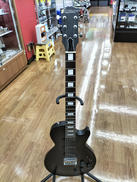 EDWARDS/LPタイプ/E-I-85LP II|EDWARDS