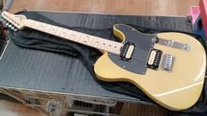 テレキャスタータイプ|SCHECTER