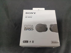 ワイヤレスイヤホン|SONY