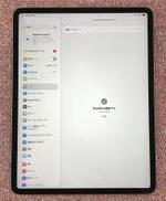 iPad|APPLE