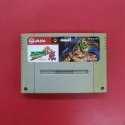 ラッシング・ビート 修羅 ※ソフトのみ|JALECO