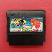 USA ICE HOCKEY IN FC※ソフトのみ|ジャレコ