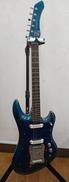 GUYATONE LG-350T|GUYATONE