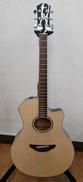 YAMAHA APX600|YAMAHA