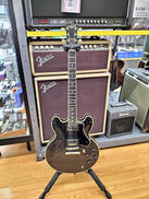 セミアコ|FUJIGEN