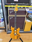 エレキギター|ARIA PROⅡ