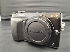 ミラーレス一眼|PANASONIC